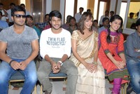 Gundello Godari Success Meet Photos